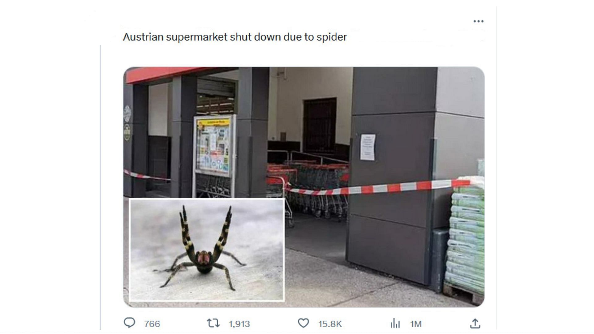 The spider was found in an Austrian supermarket (Image via X / @DailyLoud)