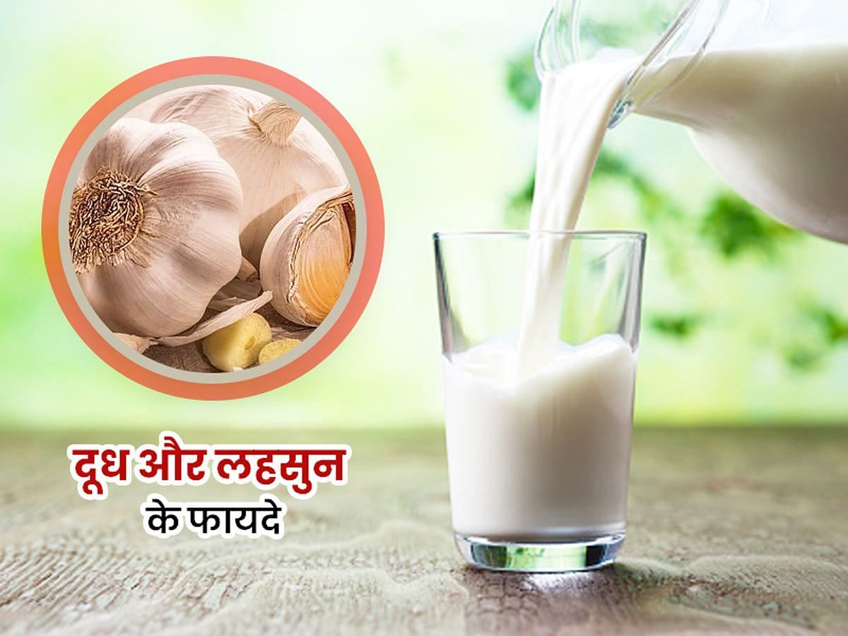 लहसुन वाला दूध पीने के फायदे (sportskeeda Hindi) 