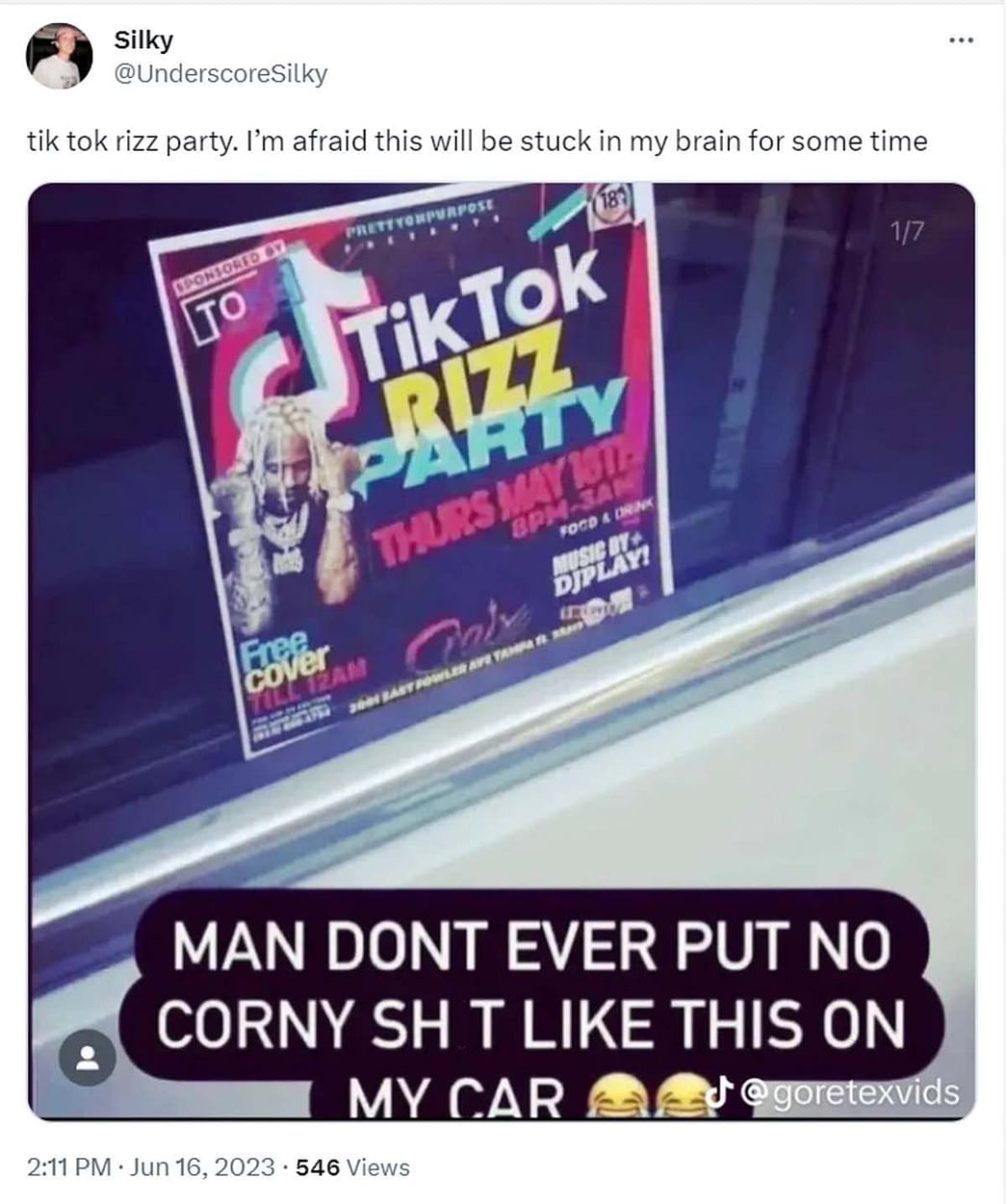 What is the TikTok Rizz Party? Event poster leaves netizens in a frenzy