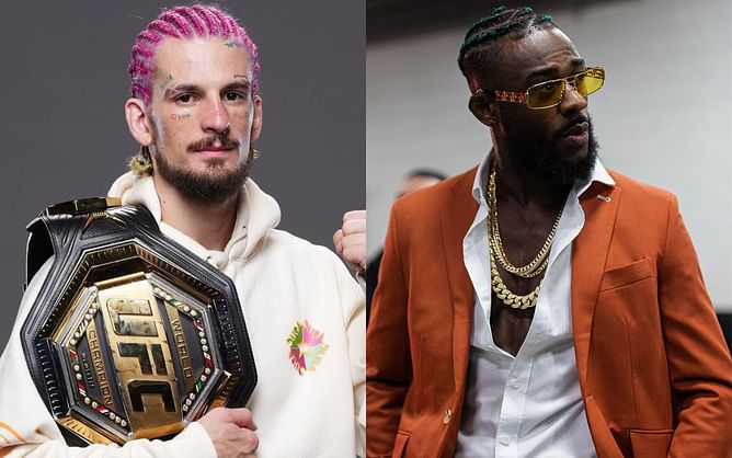 How much did Sean O'Malley, Aljamain Sterling, and others make at UFC 292? Let's look at the estimated payouts