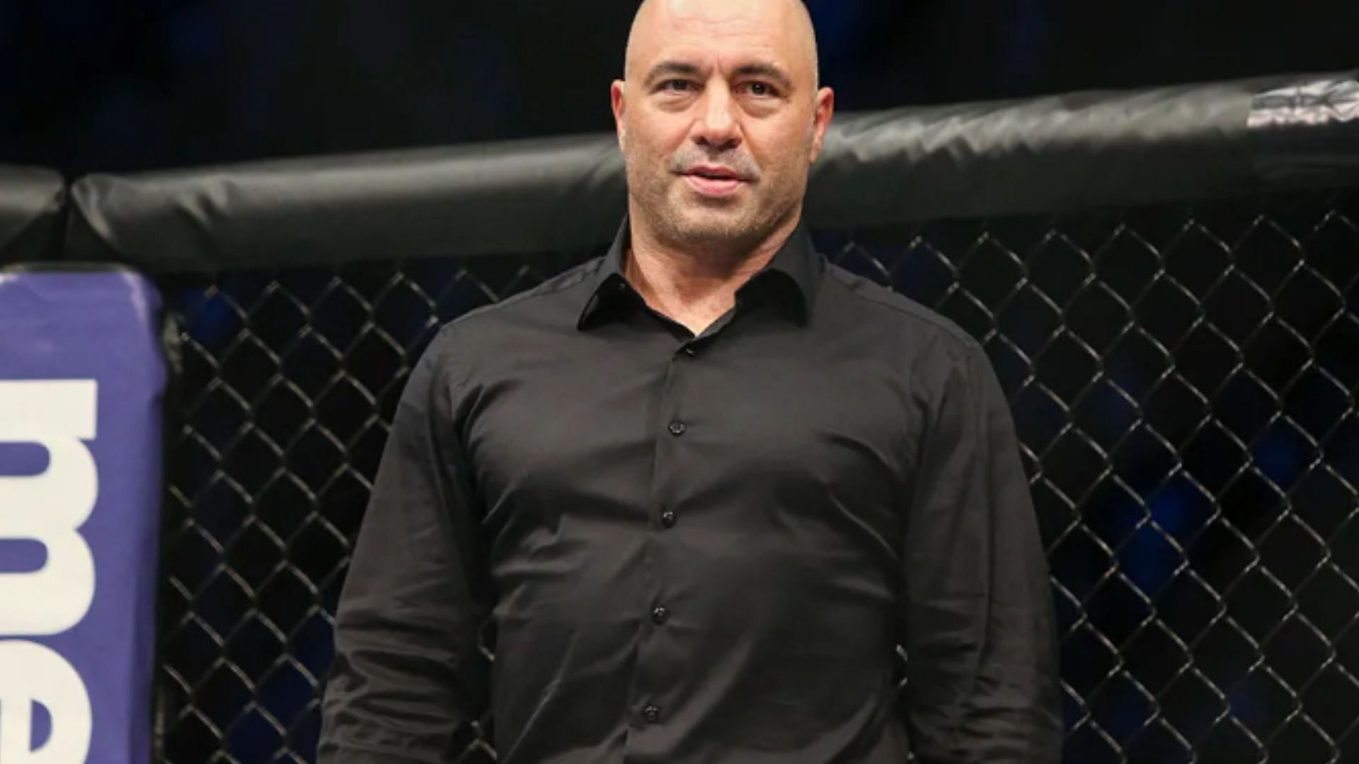 Joe Rogan [Image courtesy of ufc.com]