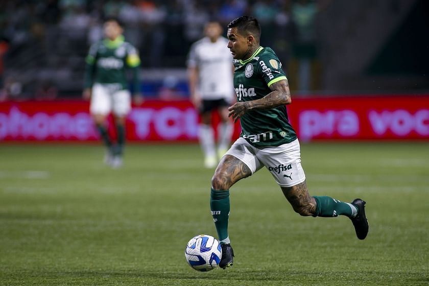 DEPORTIVO PEREIRA X PALMEIRAS AO VIVO - COPA