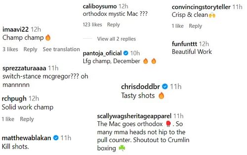 Screenshot of fan reactions to McGregor's recent training footage