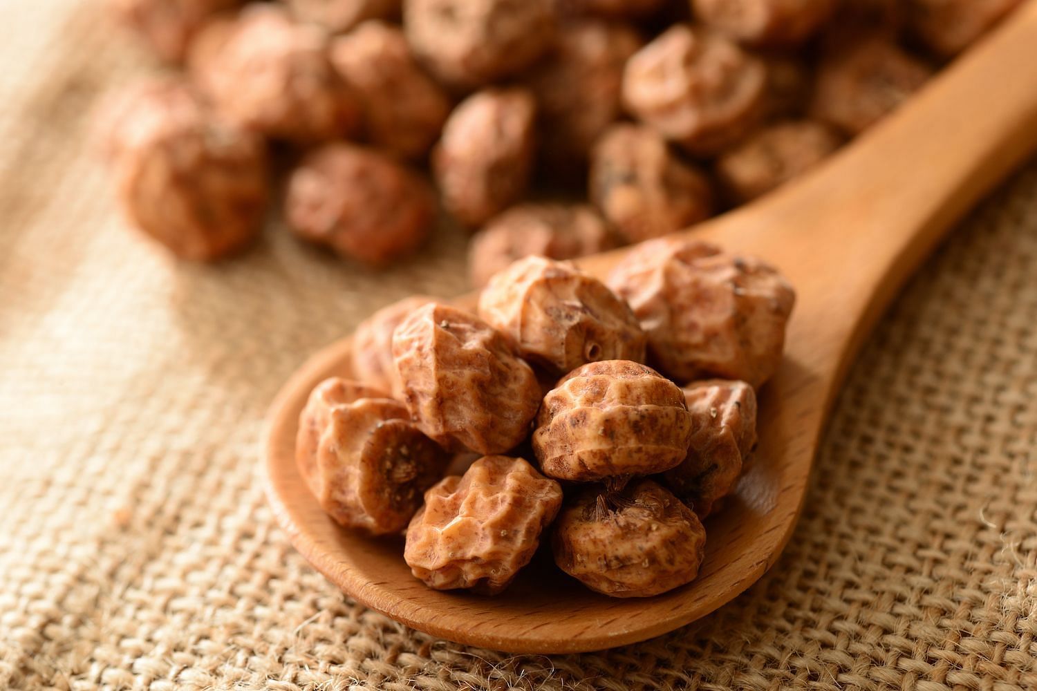 Tiger nuts, often known as &quot;chufa&quot; or &quot;earth almonds,&quot; have recently gained popularity (Image via Shutterstock)