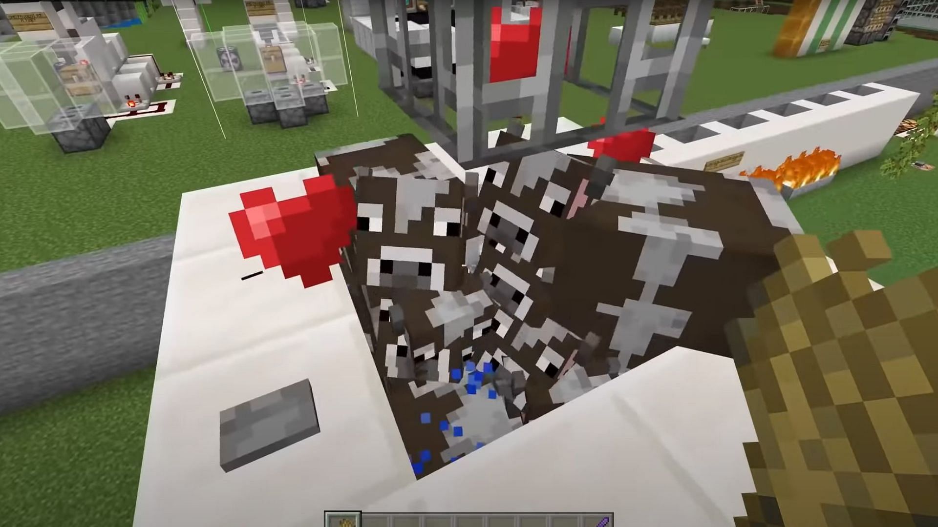 Cow farm in Minecraft (Image via Mojang Studios)