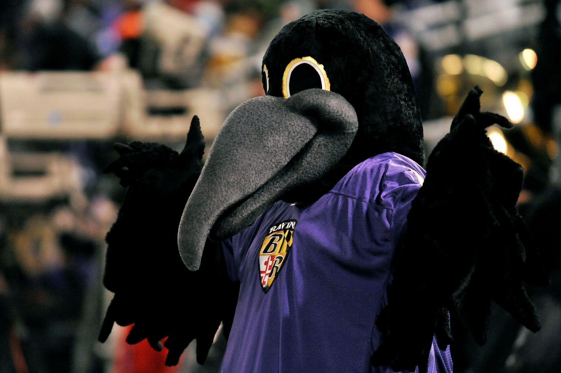 Why Is The Ravens Mascot Named Poe?