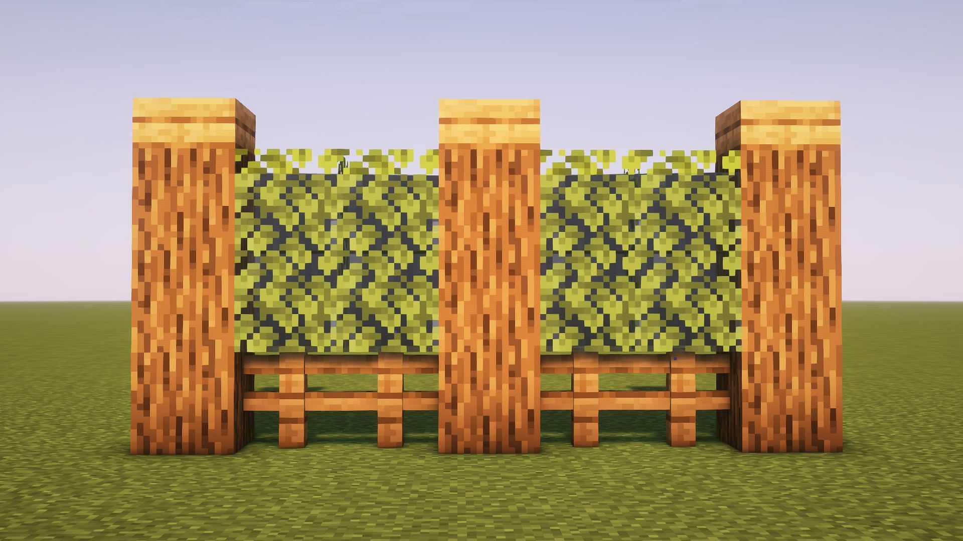 This wall is made up entirely of oak wood blocks (Image via Mojang)