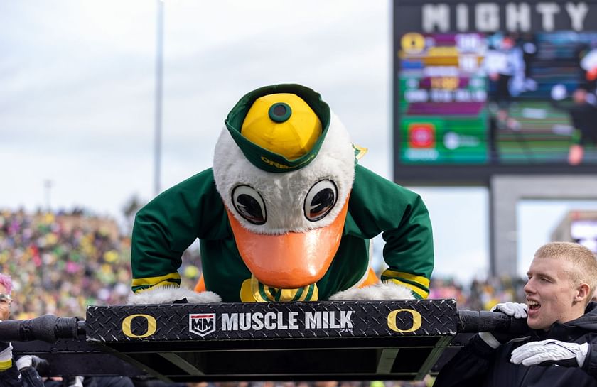 10 of Our Favorite (& Slightly Strange) Pro Sports Mascots