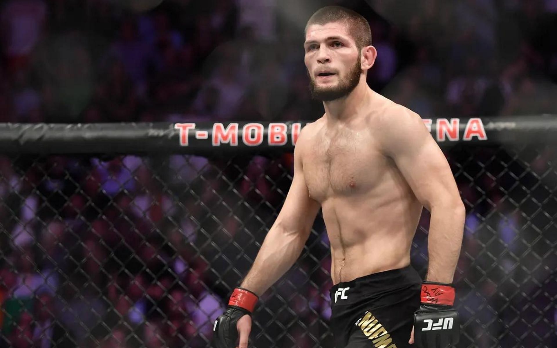 Khabib Nurmagomedov Wallpaper