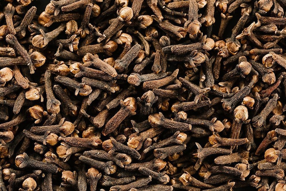 Clove water benefits (Image via freepik)