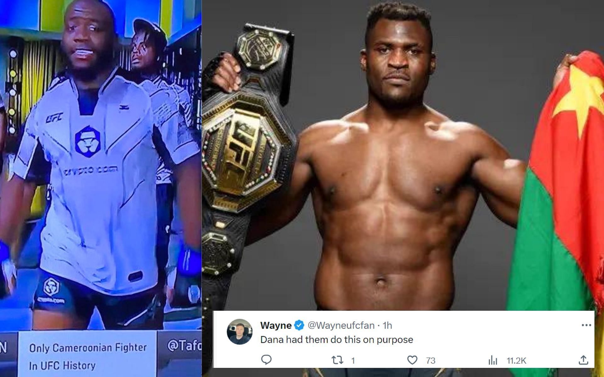 Tafon Nchukwi (left) and Francis Ngannou (right) (Image credits @DovySimuMMA and @francis_ngannou on Twitter)