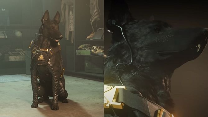 "It's P2W as hell" Warzone 2 players are mad about Blackcell Dog providing an unfair advantage in matches