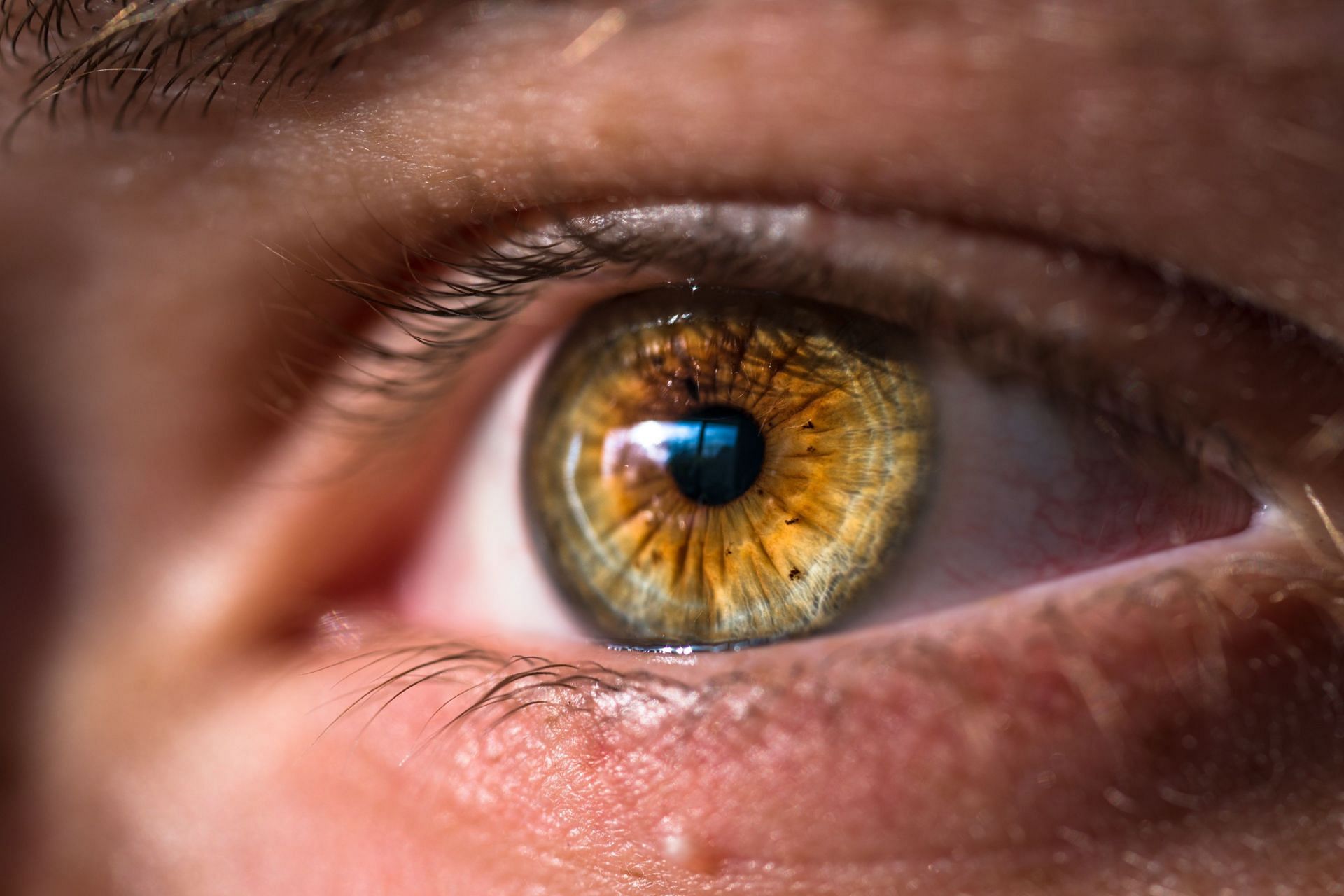 FDA warns against contaminated eye drops. (Image via Unsplash/ Joel Staveley)