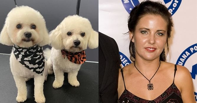 When a former WWE World Champion gave up the ashes of his dogs in a divorce settlement
