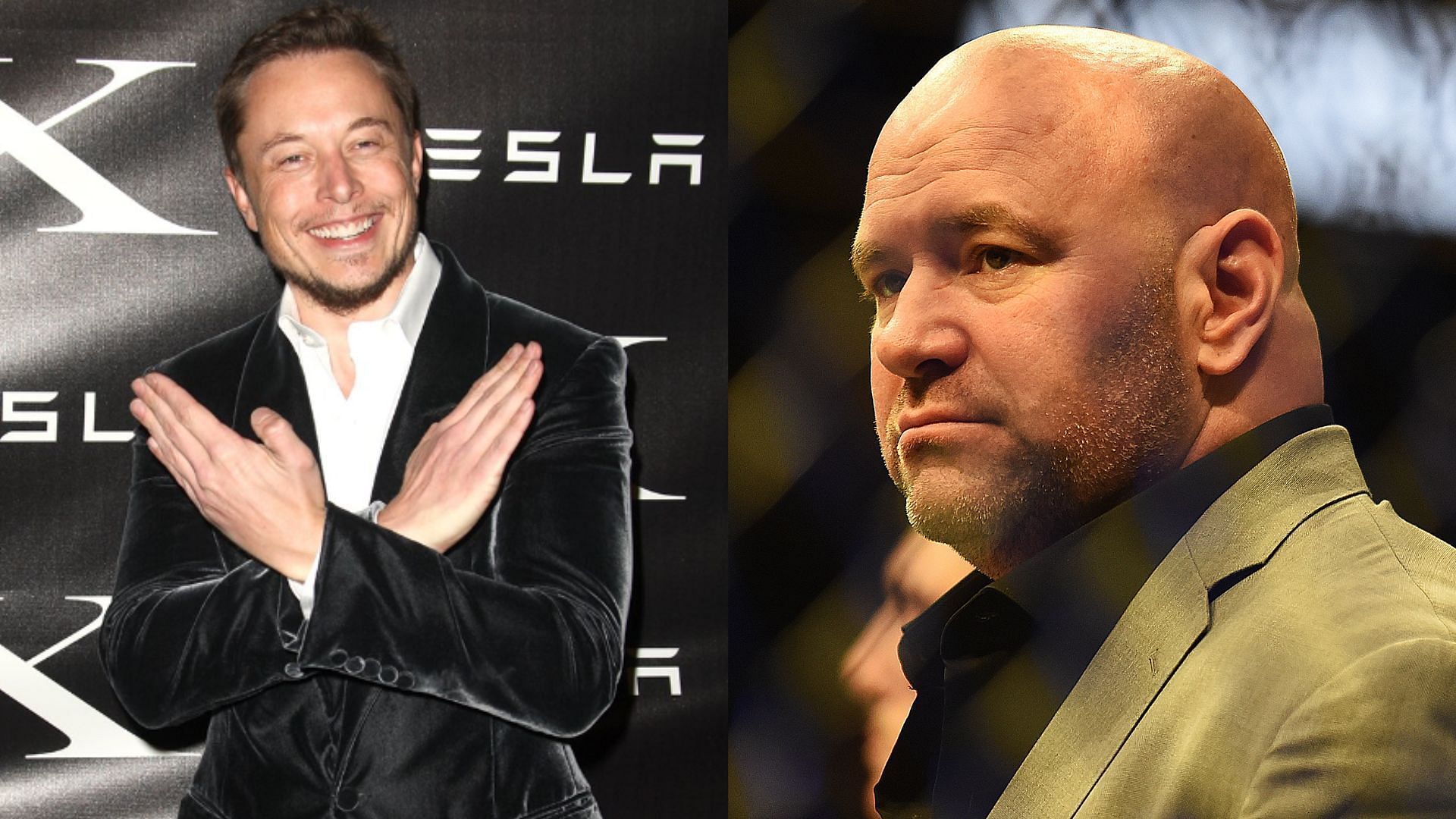 Elon Musk (left), Dana White (right) [Image courtesy of @elonmusk on Twitter]