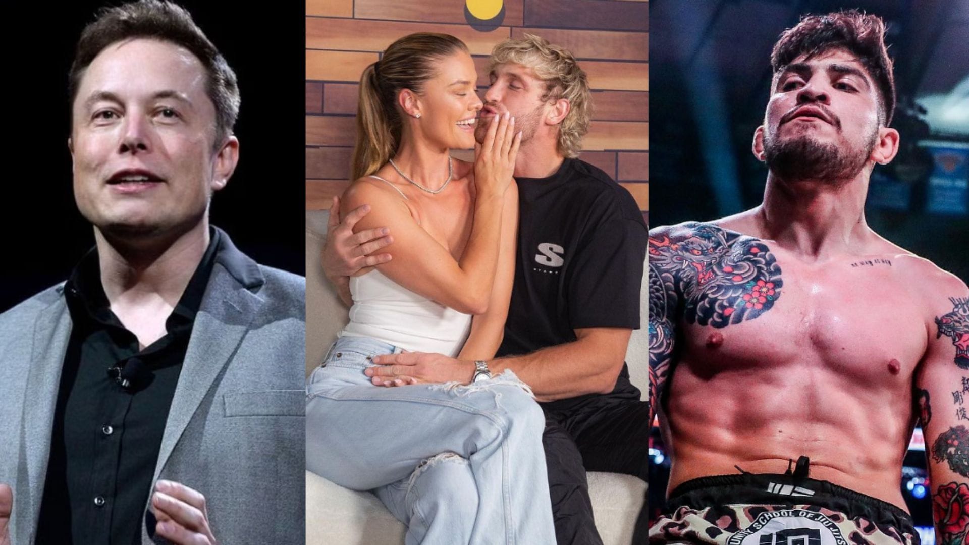 MMA News Former UFC champ reportedly refuses to train Elon Musk, Dana White blasts TUF 31