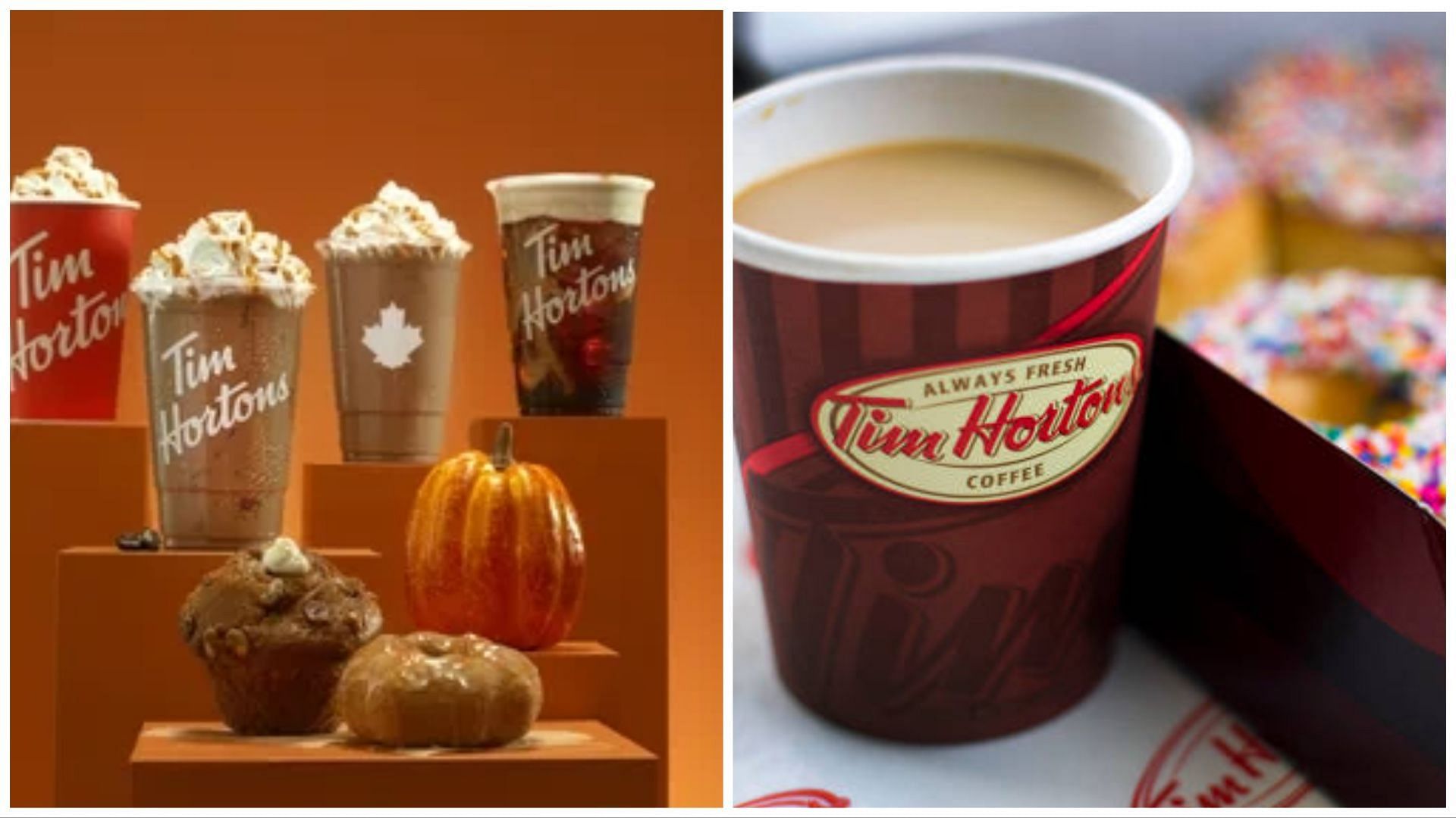 Tim Hortons Canada Pumpkin Spice & Fall Menu 2023 - Foodgressing