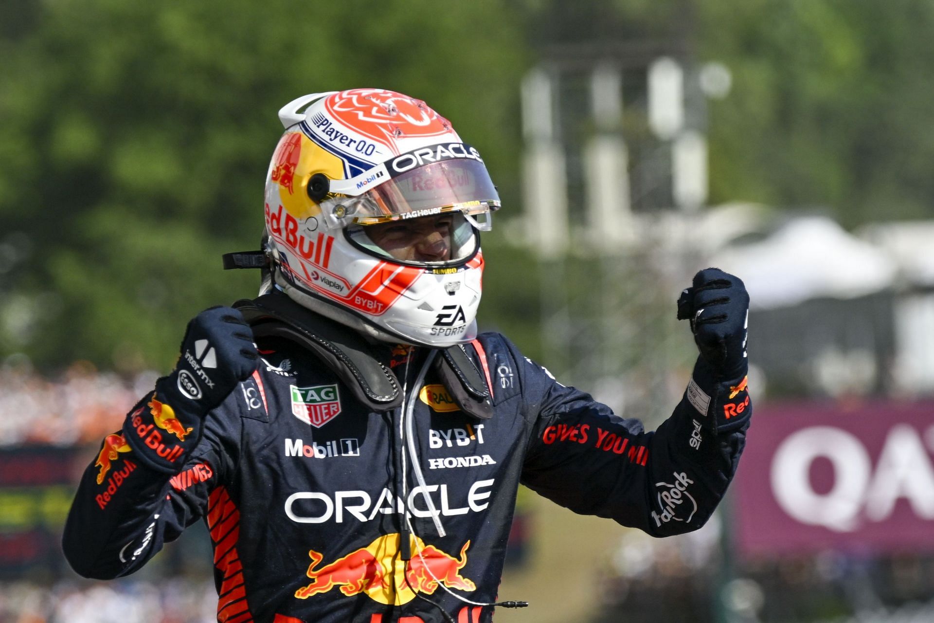 Max Verstappen in the Hungary F1 GP