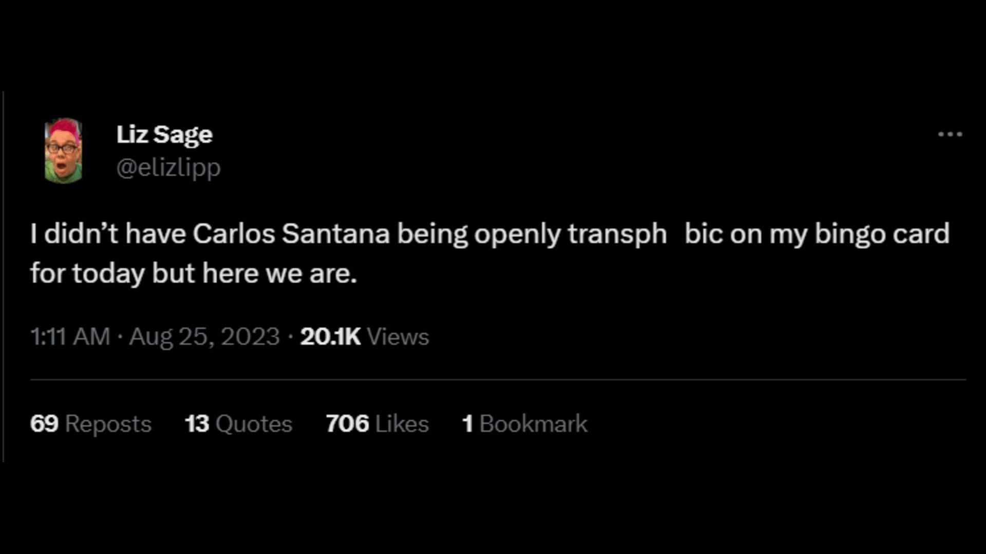 A netizen slams Santana. (Image via X/Liz Sage)