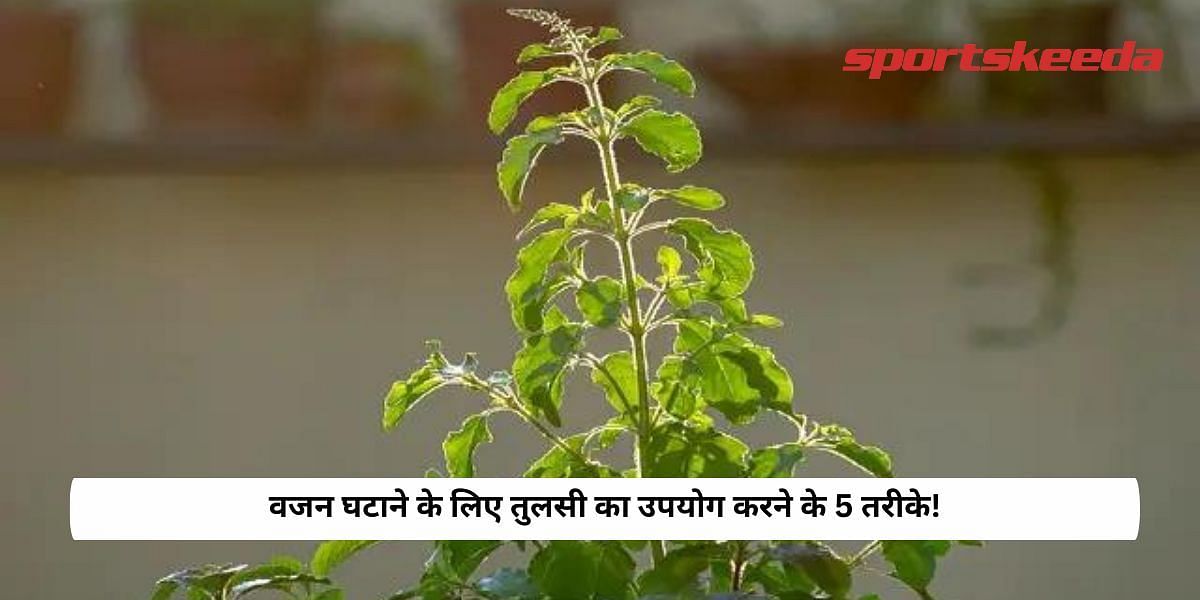 5 ways to Use Tulsi for Weight Loss!