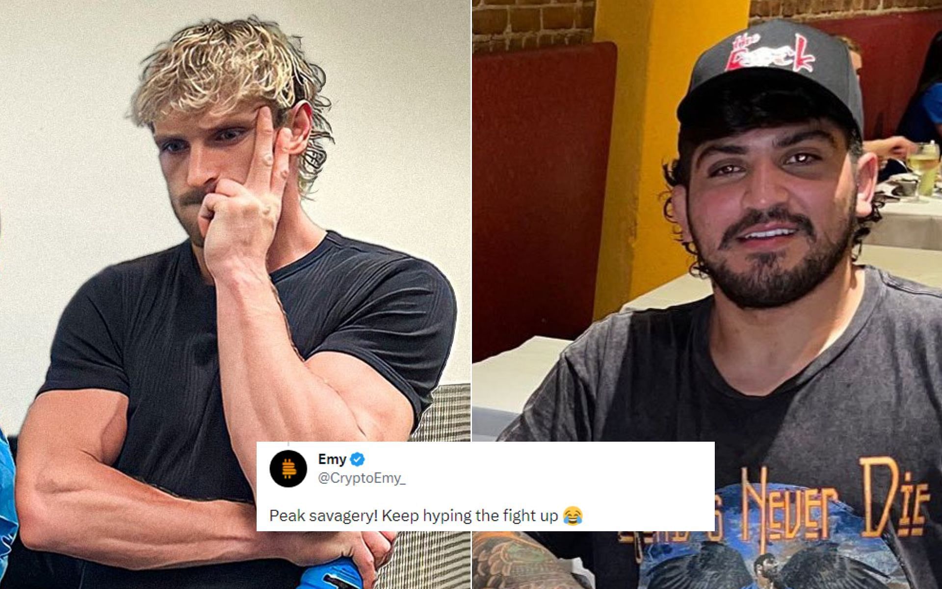 Logan Paul [Left], Twitter comment [Middle], and Dillon Danis [Right] [Photo credit: @LoganPaul, @dillondanis, and @CryptoEmy_ - Twitter]