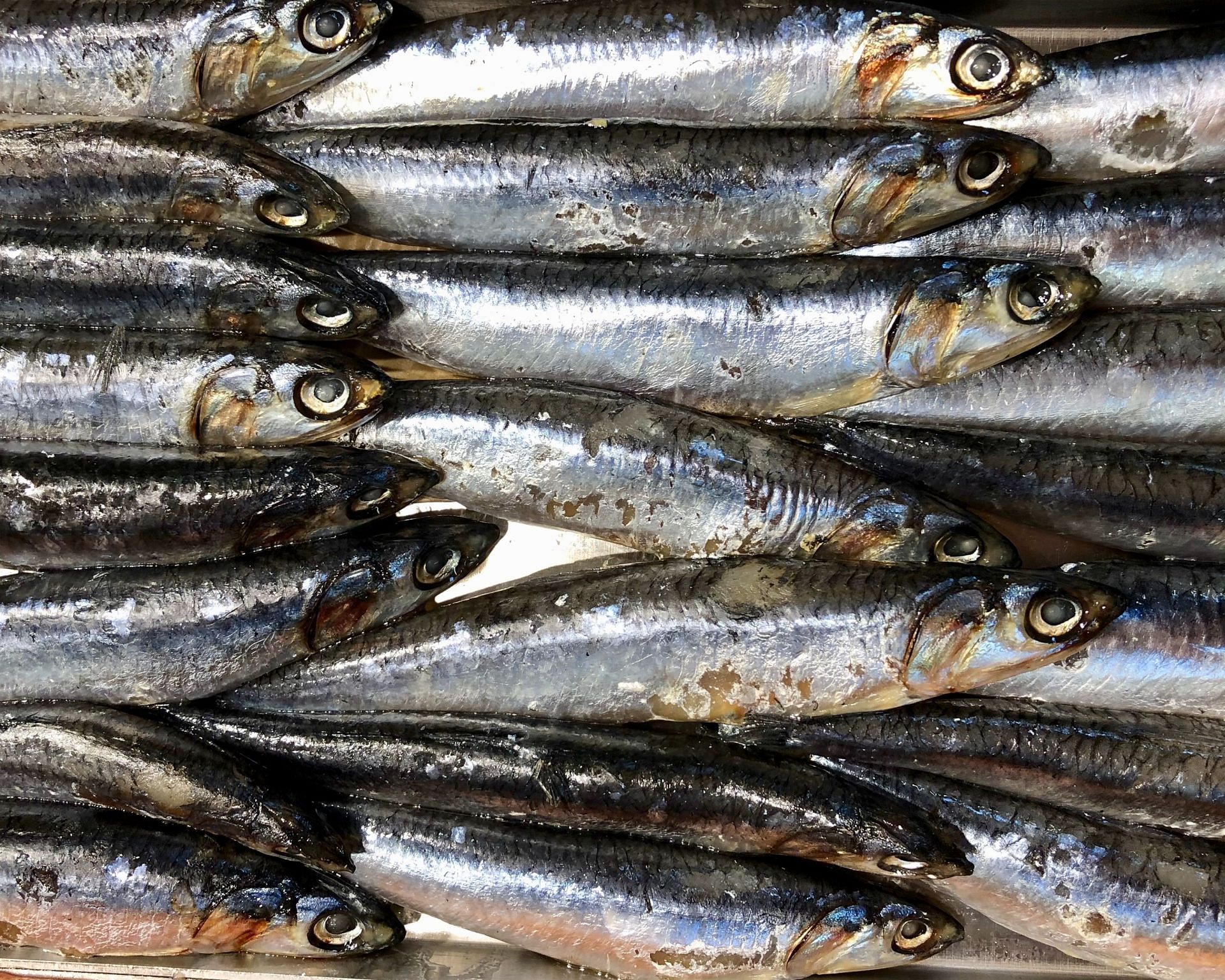 Anchovies are rich in omega-3 fatty acids. (Image via Unsplash/Diane Helentjaris)