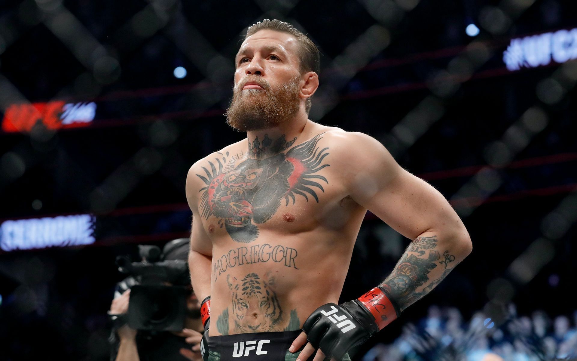 Conor McGregor [Image credits: Getty Images] 