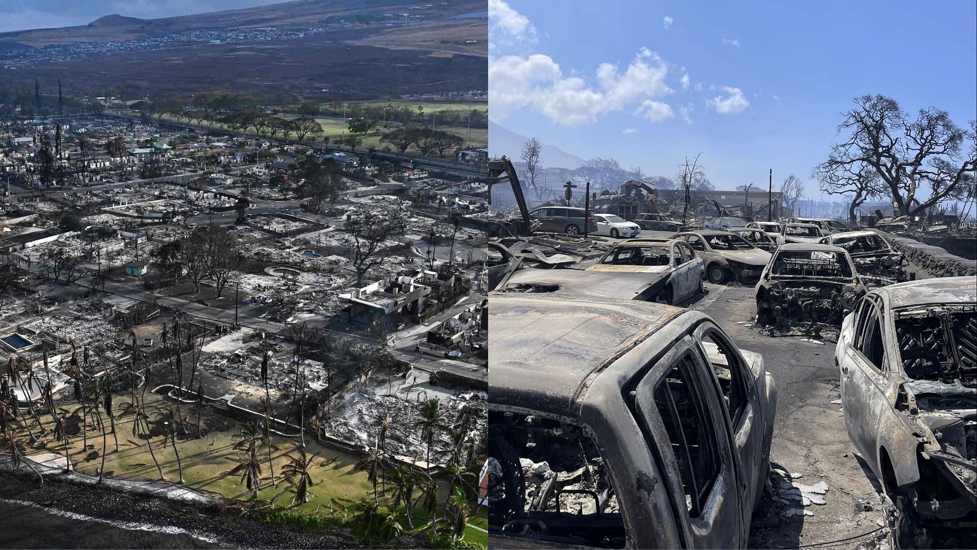 Celebrities come to the rescue for those devasted by the recent wildfire in Maui. (Images via Getty Images)