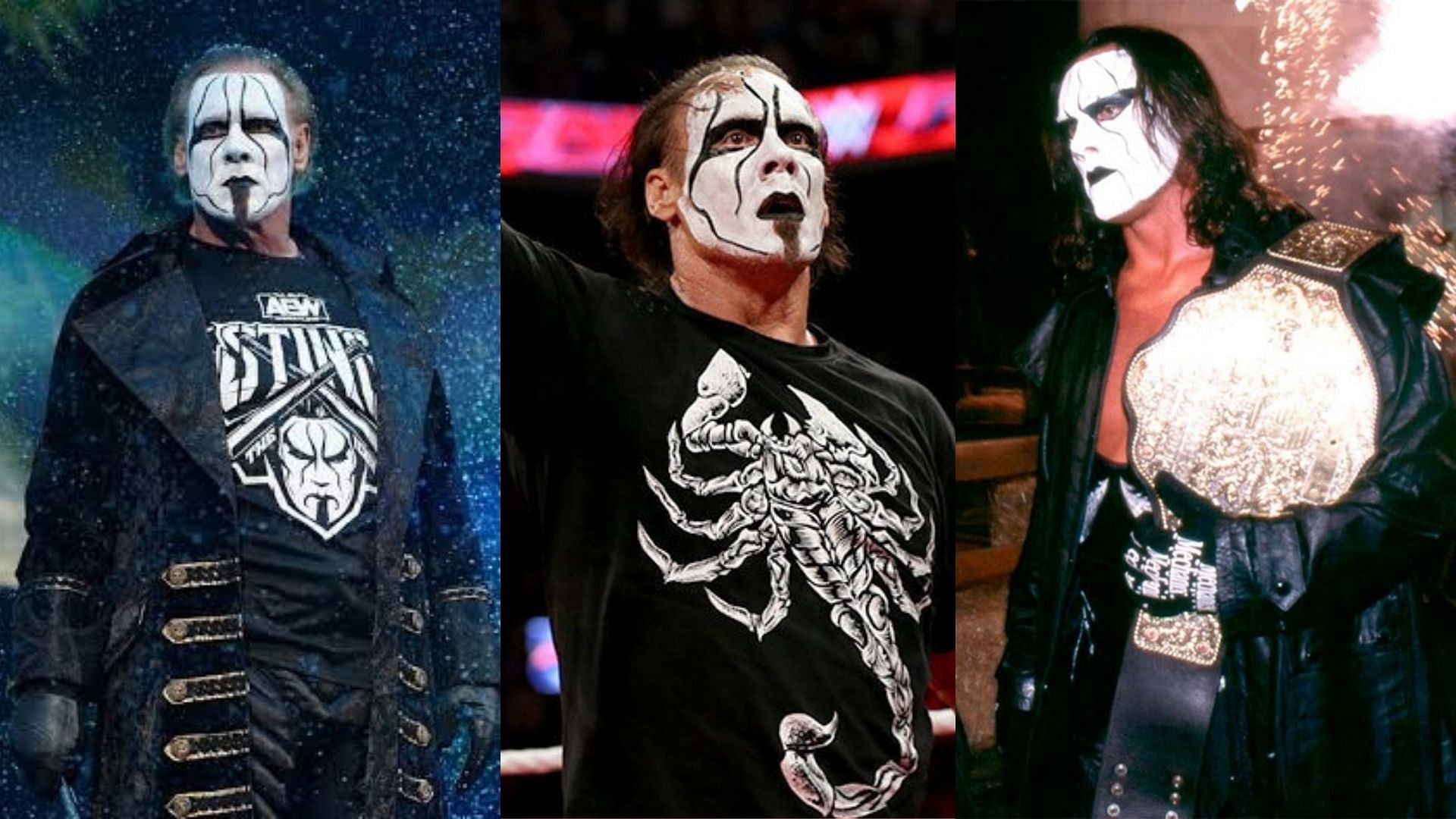 Sting has done it all in the wrestling business.