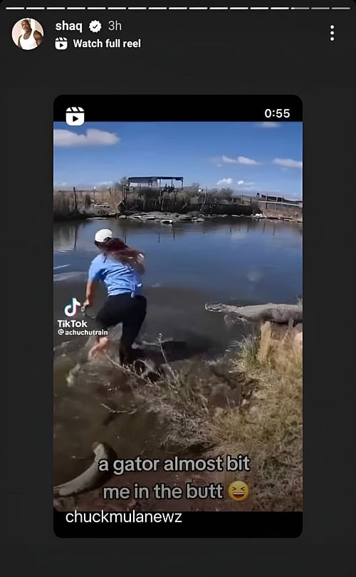 O’Neal shares a viral video of a fearless woman jumping into an alligator enclosure