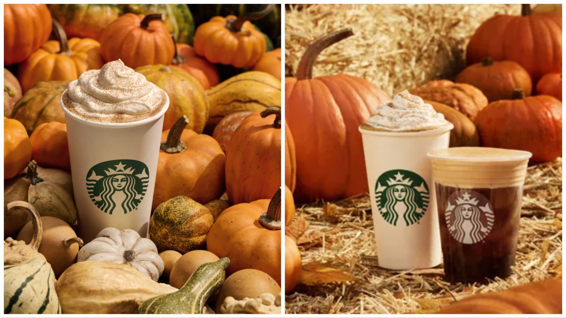 The Starbucks Pumpkin Spice Latte Has Officially Returned