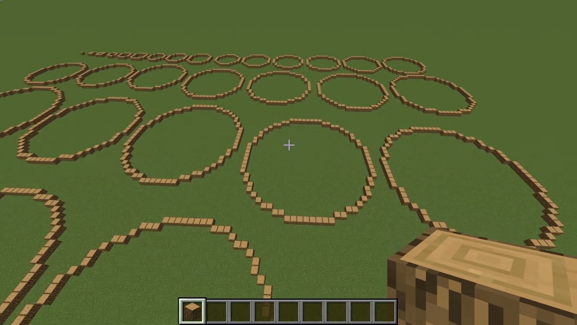 A group of circles constructed in Minecraft.