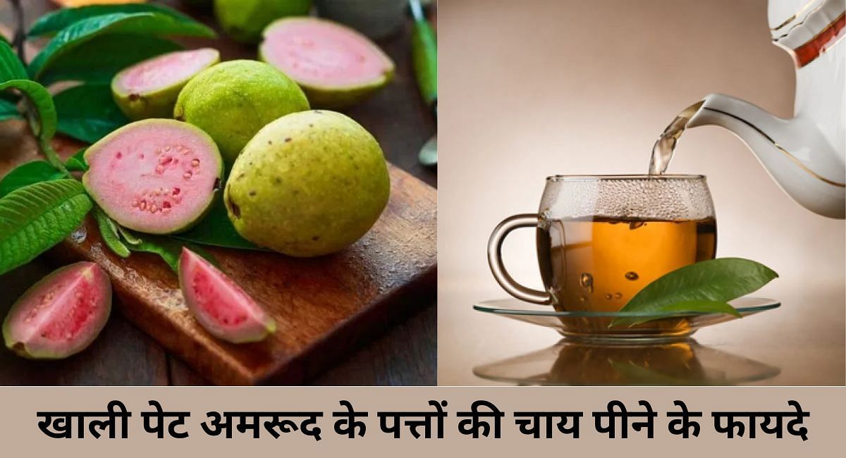 खाली पेट अमरूद के पत्तों की चाय पीने के फायदे(फोटो-Sportskeeda hindi)