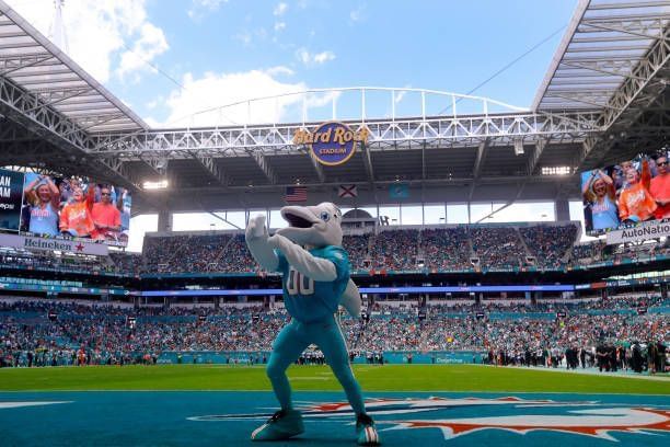 Dolphins mascot - T.D.