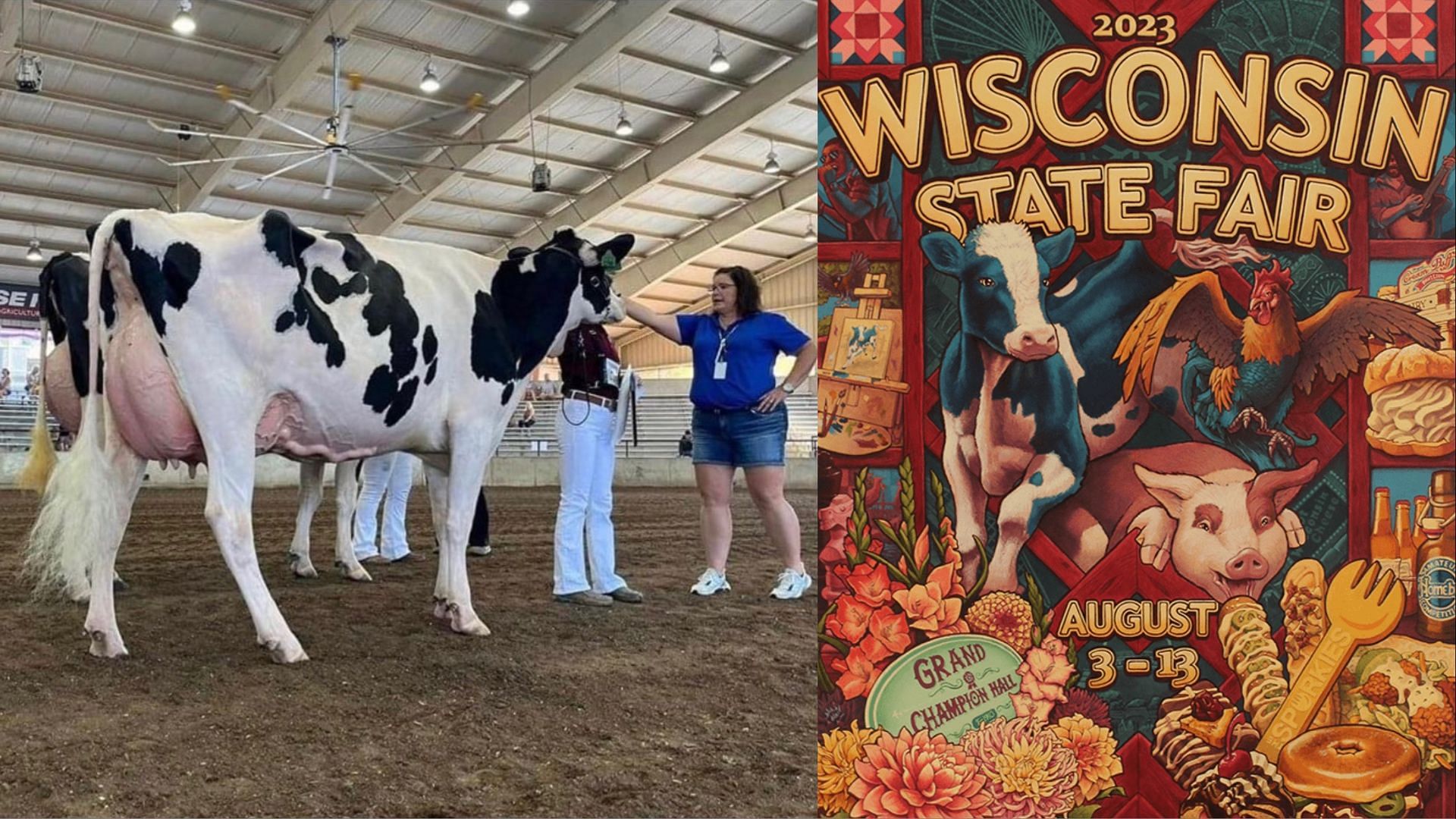 What does 'Jigaboo' mean? Wisconsin State Fair racial slur cow