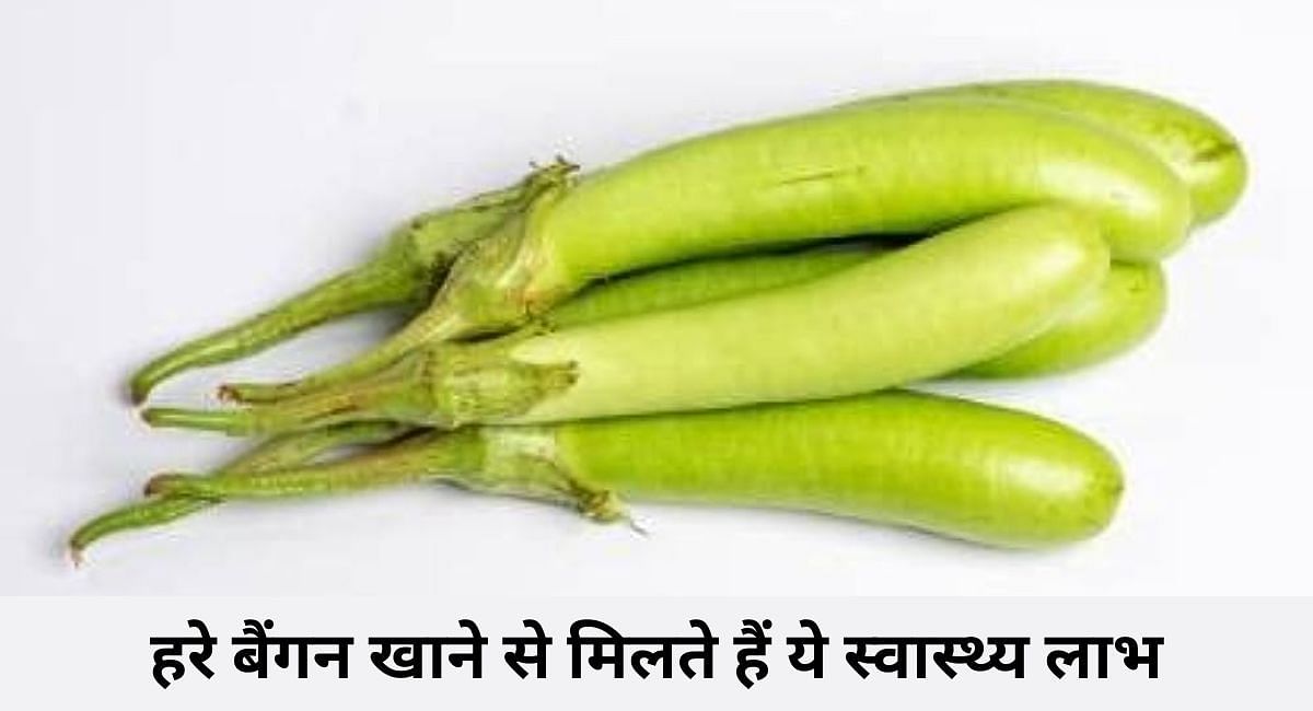 हरे बैंगन खाने से मिलते हैं ये स्वास्थ्य लाभ(फोटो-Sportskeeda hindi)