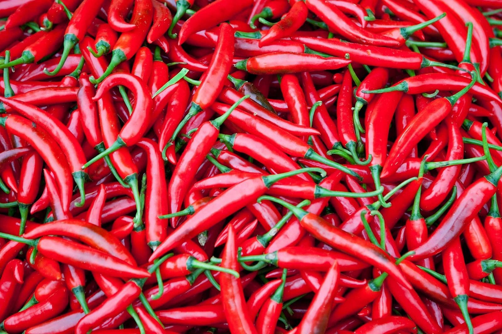 Chilli peppers (Image via Getty Images)