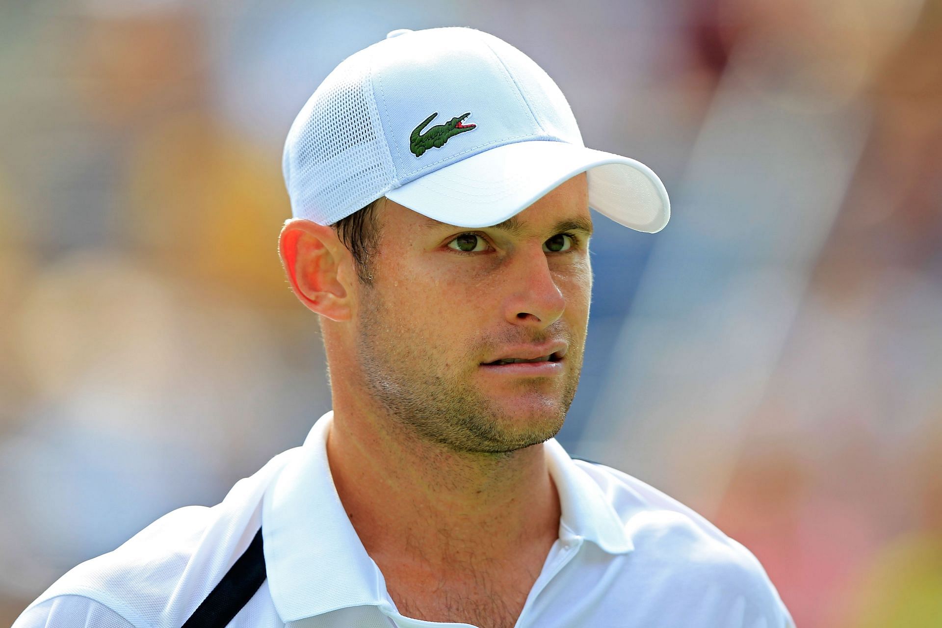 Andy Roddick, 2011 US Open - Day 7