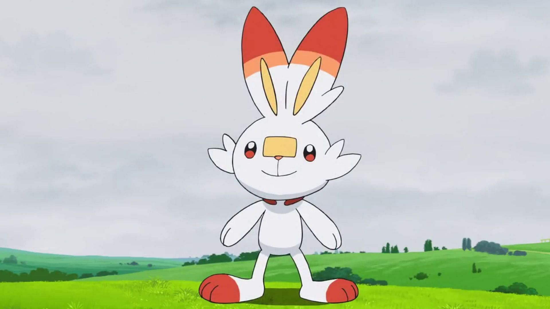 Scorbunny designs, themes, templates and downloadable graphic elements on  Dribbble