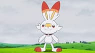 Scorbunny in the anime (Image via TPC)
