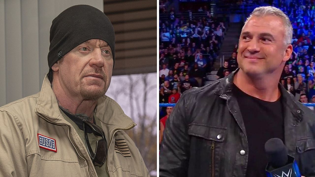 The Undertaker (left); Shane McMahon (right)