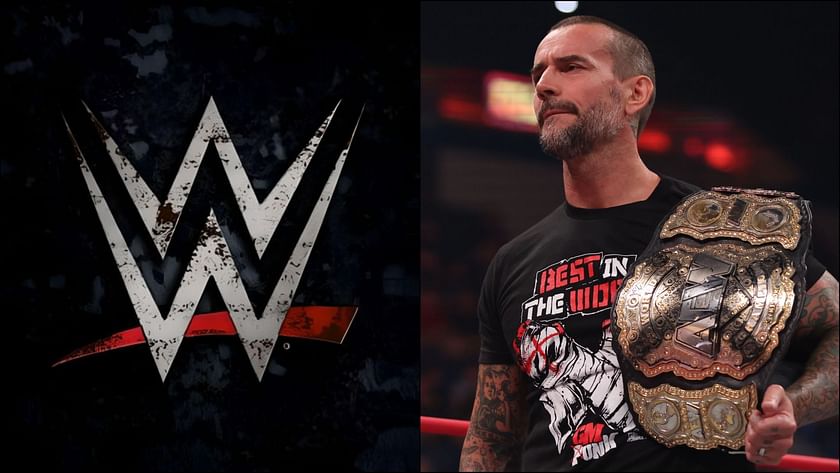 CM Punk, a Former W.W.E. Star, Is About to Get in a Real Fight