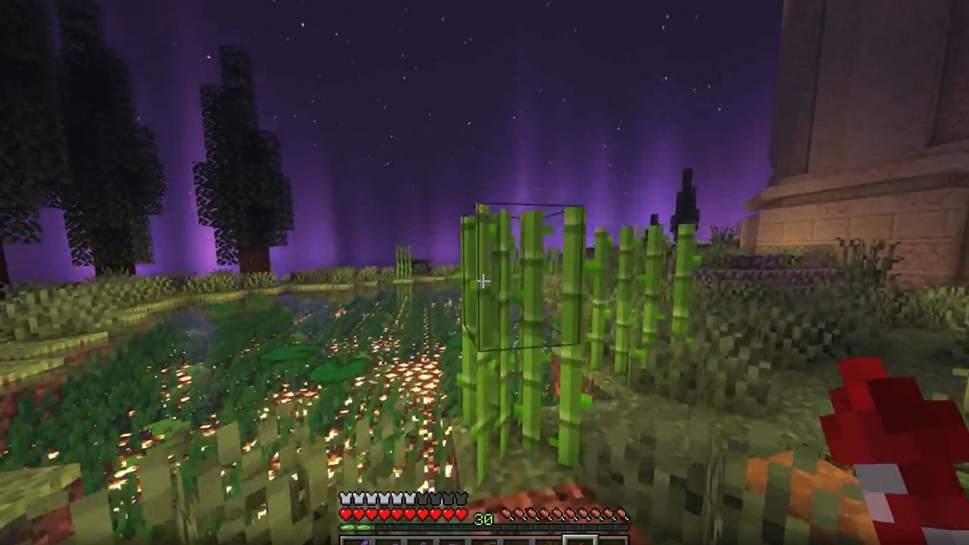 The pond in the End World of Minecraft (Image via Minecraft)