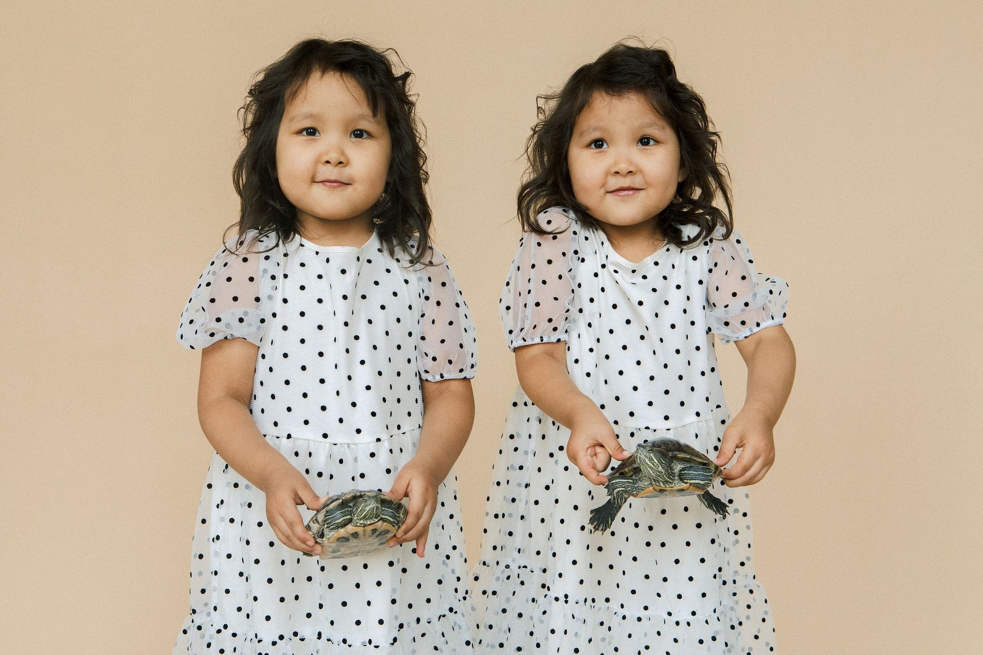 CDC warns young children to stay away from turtles. (Photo via Pexels/EKATERINA BOLOVTSOVA)