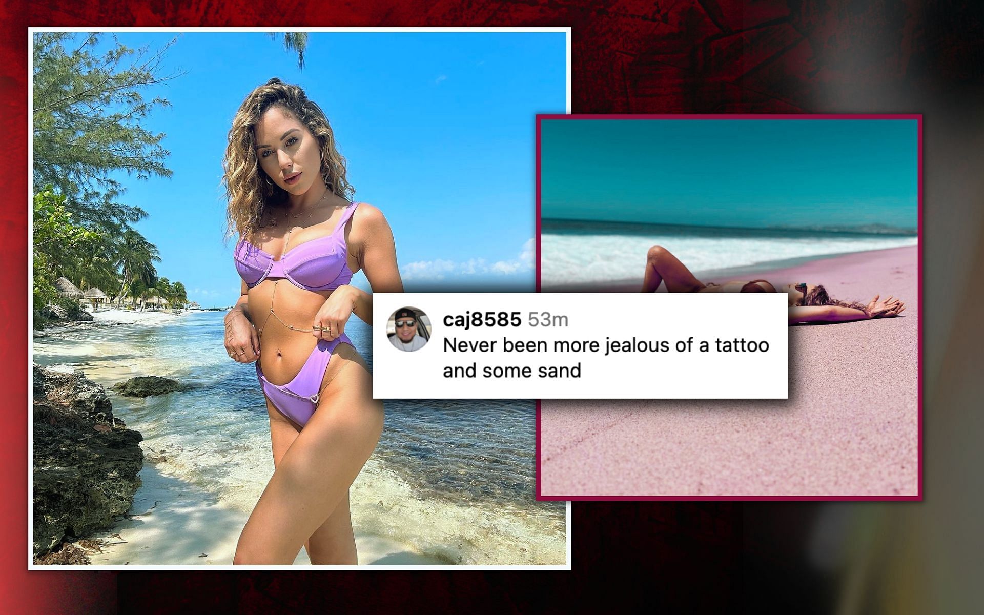 Fans react to Brittney Palmer