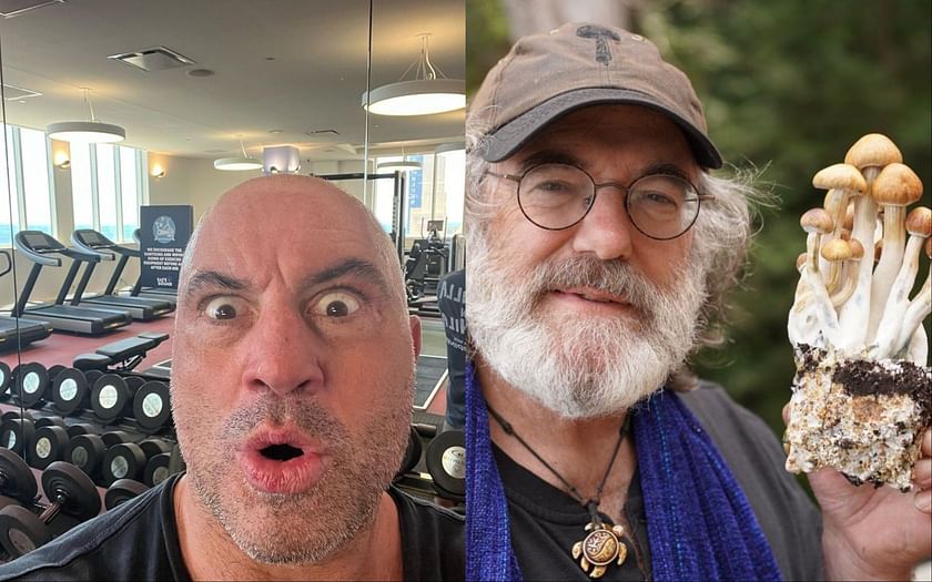 Joe Rogan mushroom guy Joe Rogan mushroom guest All you need to know