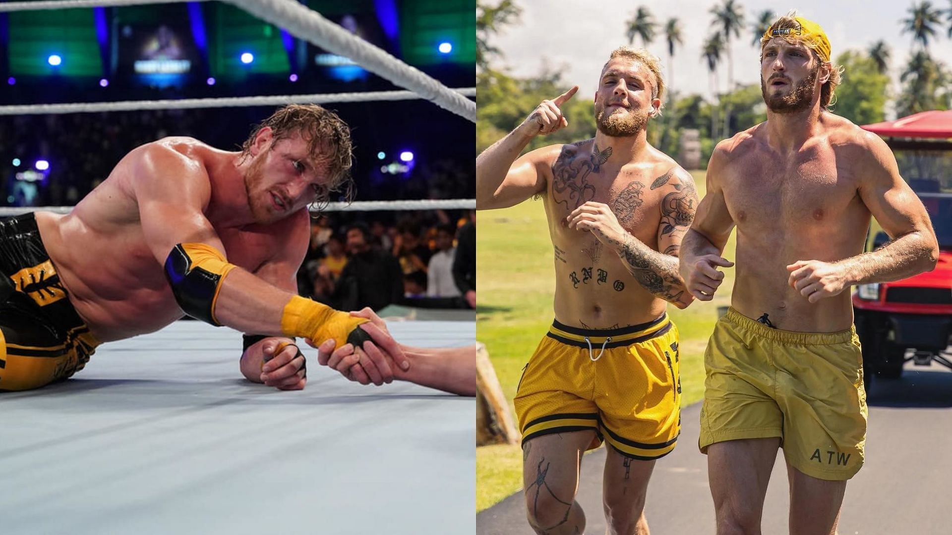 Logan Paul and Jake Paul will both be in action this weekend