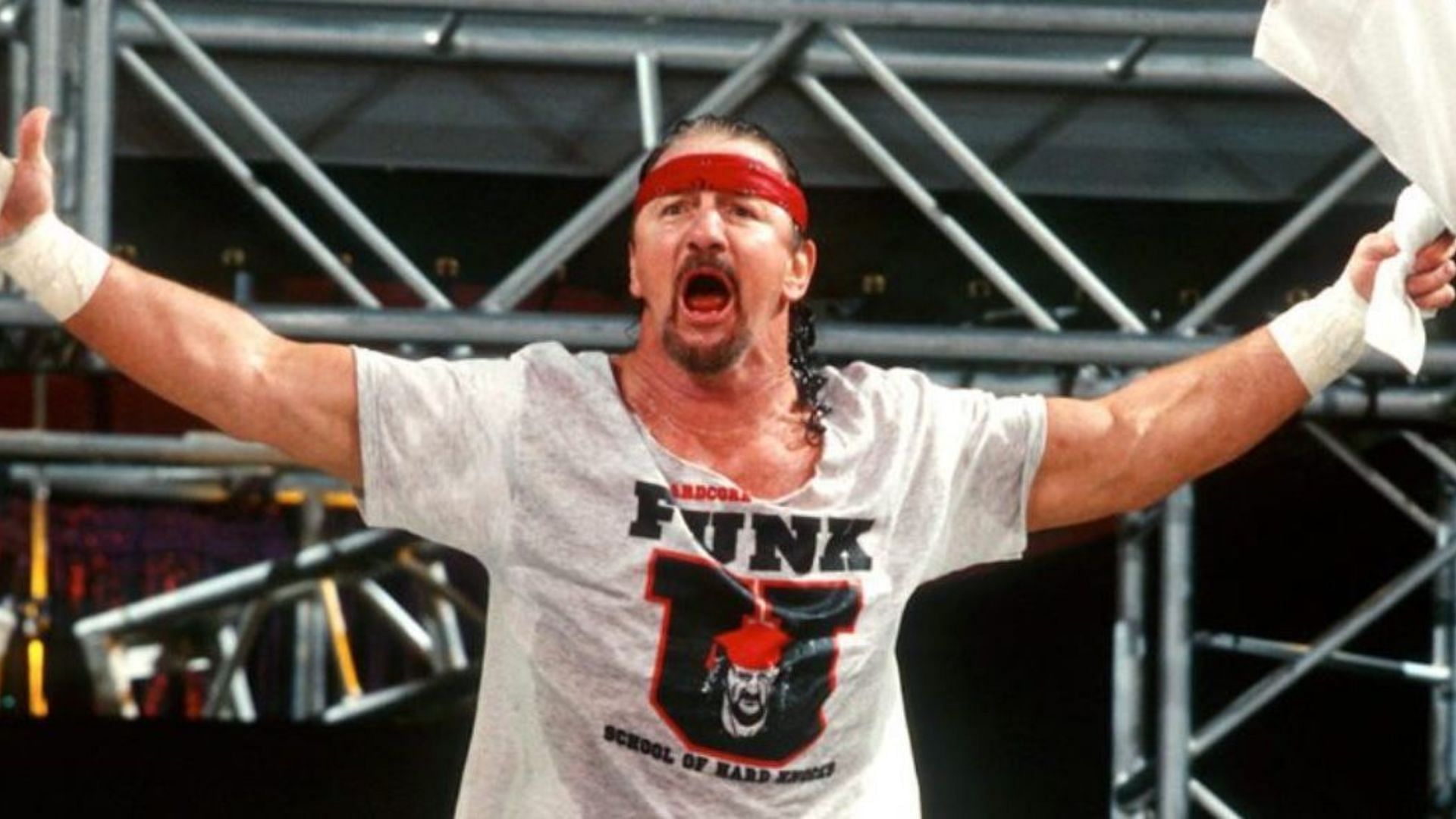 Terry Funk was a former WWE Tag Team Champion!