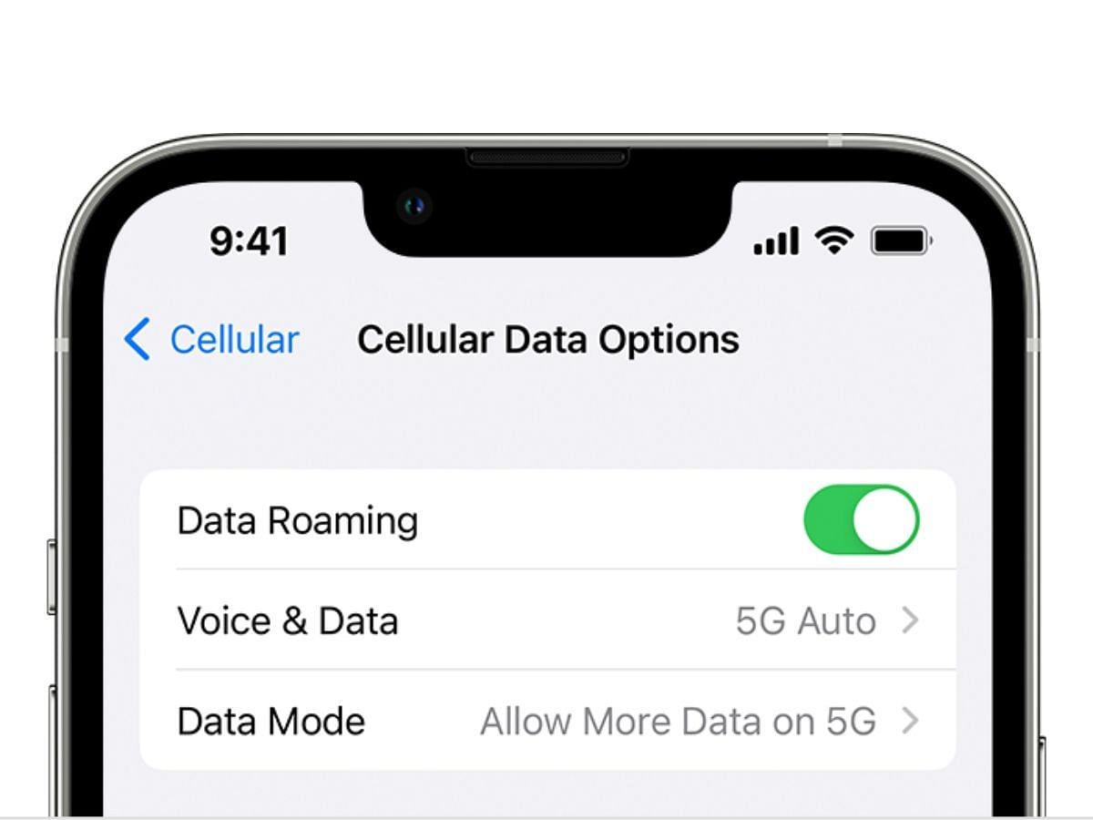Incorrect network settings might cause SOS only on iPhone. (Image via Apple)