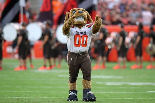 Who is the Cleveland Browns' Mascot Chomps?